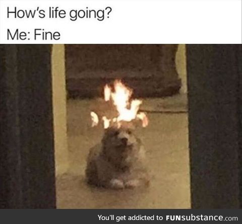 This is FINE
