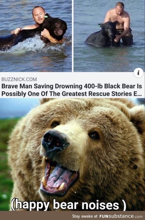 Black bear approved