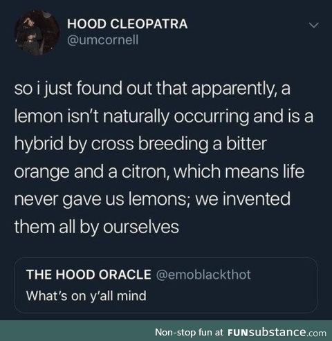 Life never intended for us to deal with lemons