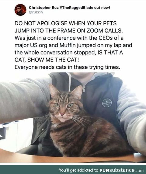 Don't apologize for pets