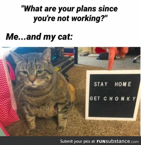 Stay Home, Get Chonky
