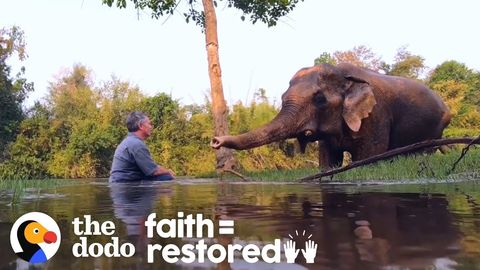Music For Elephants (FeelGoodSubstance)