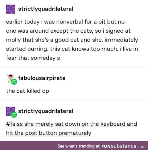 Cats know too much