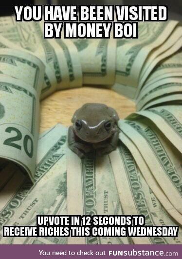Money frog is here!