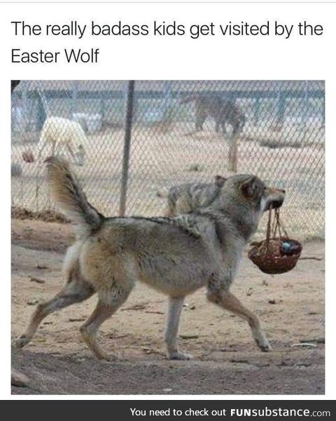 The Easter Wolf is still a Good Boi
