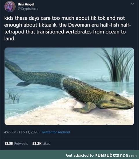 prehistoric
