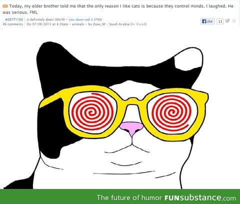 All glory to the hypno cat