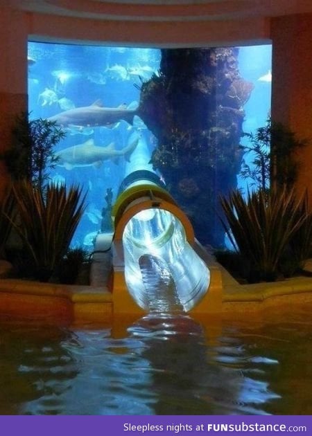 Epic water slide