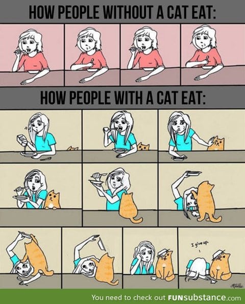 How cat owners eat