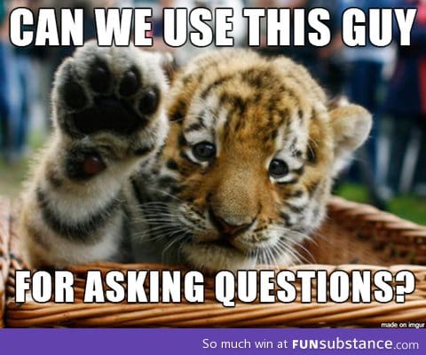 Question cub meme?