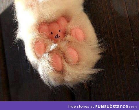 I will never look at my cat's paws the same