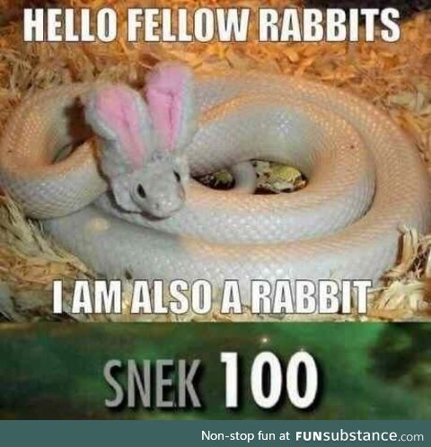 Henlo Fellow Rabbits!