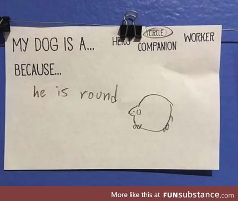 Round dog