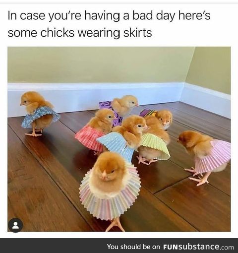 Cute Chicks in Tiny Skirts