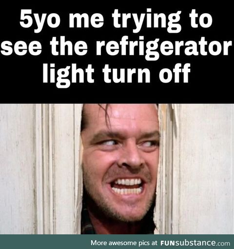 Tryna see the refrigerator light turn off