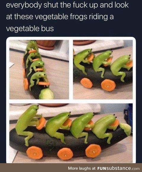 Froggo Fun #108 - Frog Vegan Option