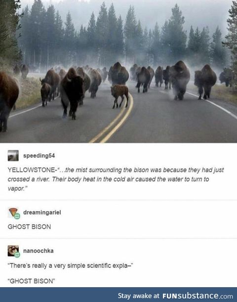 Ghost bison