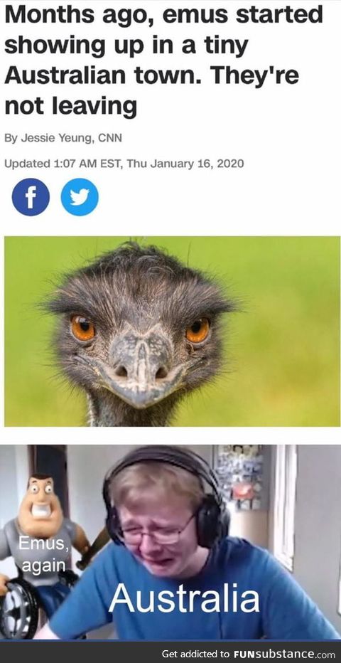 Its the Great Emu War 2