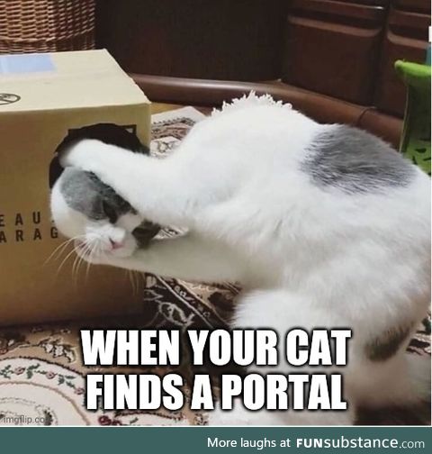Schrödinger's Portal: A Cat must be considered but simultaneously inside & outside the box