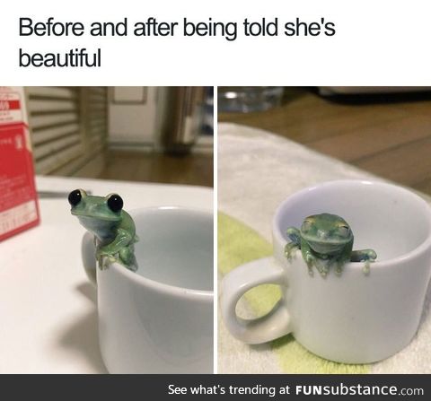 Beautiful Frog Before and After