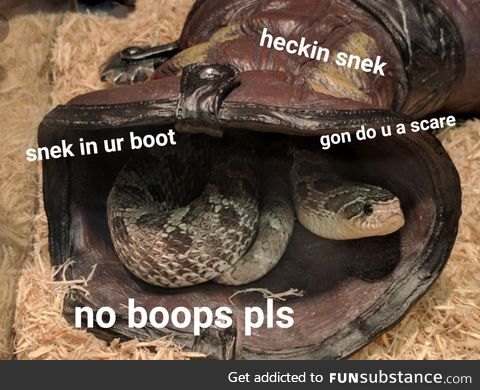 Snek in your boot don't want no boops