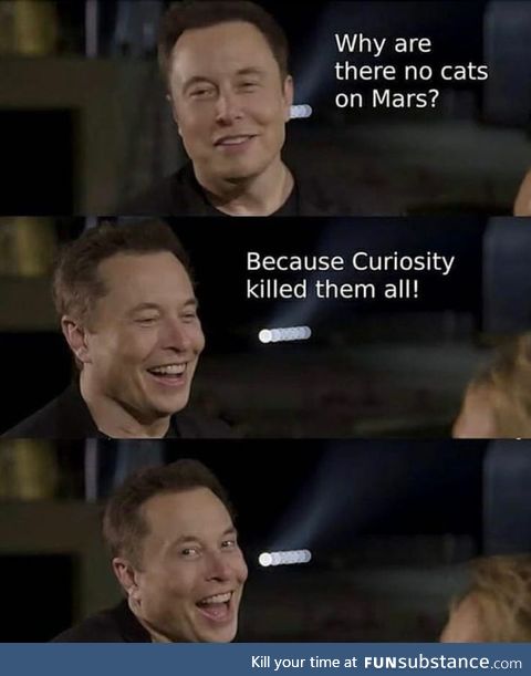 In Musk we thrust