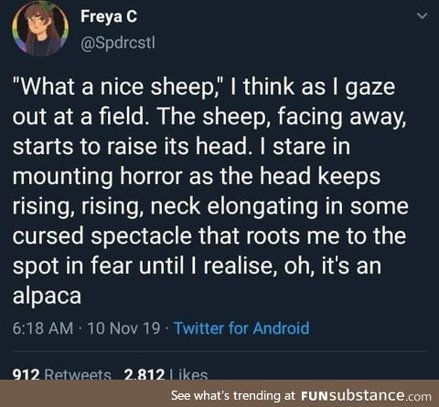 &gt;Giraffe sheep