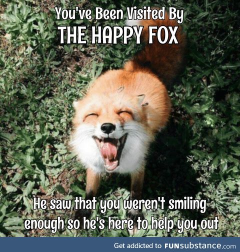 The Only Thing More Contagious Than COVID19 Might Be This Fox's Smile