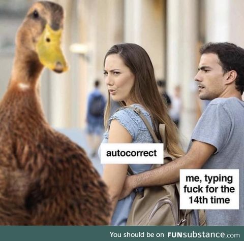 Aw duck