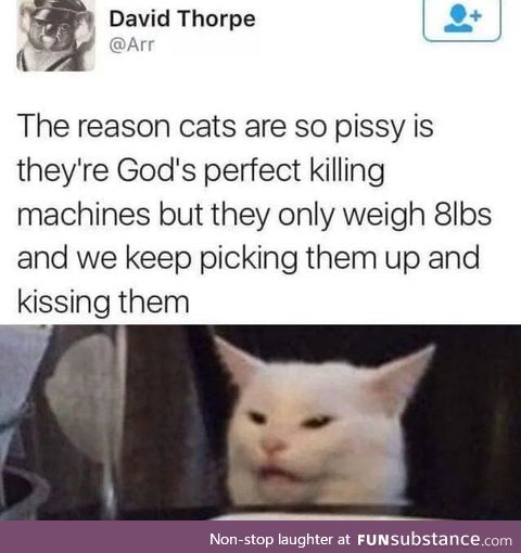 Cats would kill us