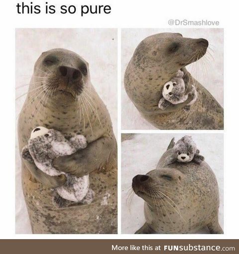 Wholesome Seal