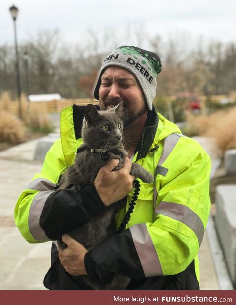 Cat lost in Ohio reunited with owner. Cat was not concerned, generally