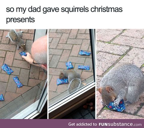 Squirrel Christmas Presents