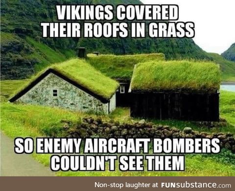 Vikings were smart