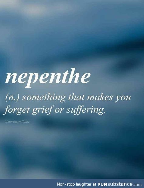 Nepenthe. Sounds like a fancy word for memes