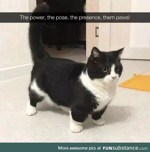 Power stance