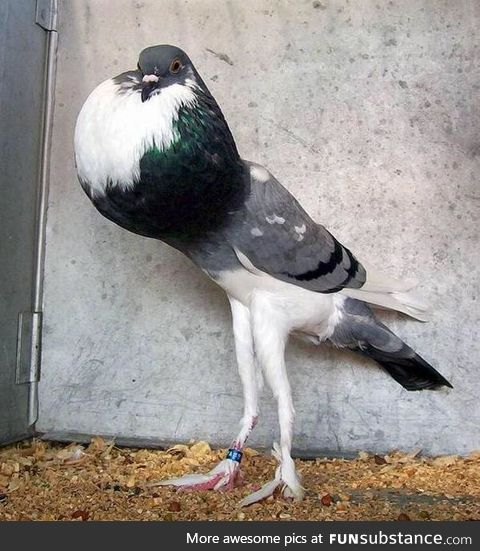 When you've already coughed 3 times in public, and people are staring at you