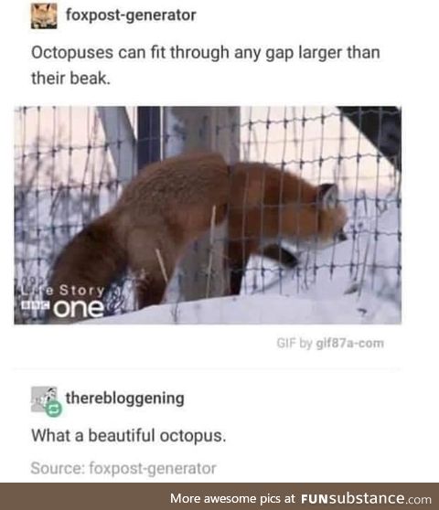 The only issue is when the octopus gets it's hooves stuck