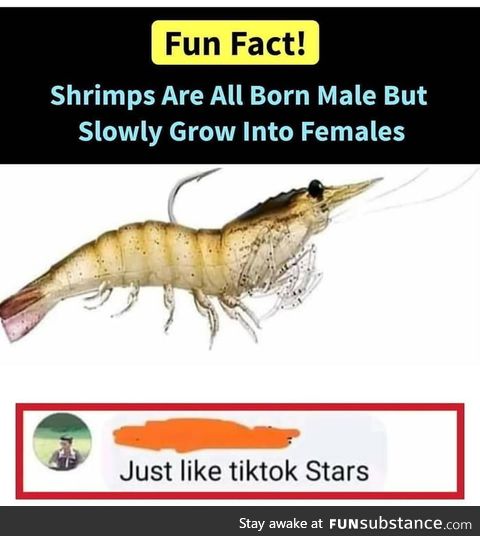 Fun fact!