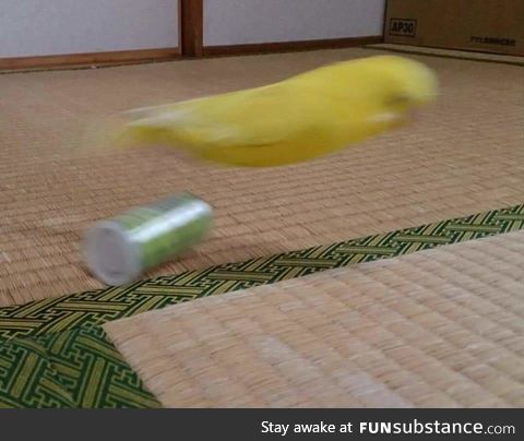 Faster than a speeding banan