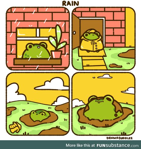 Froggo Fun #128 - Life of a Rain Frog