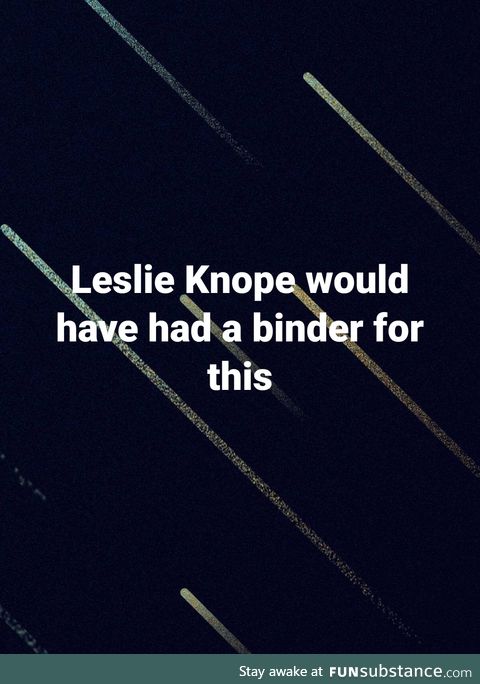 Leslie knope 2020