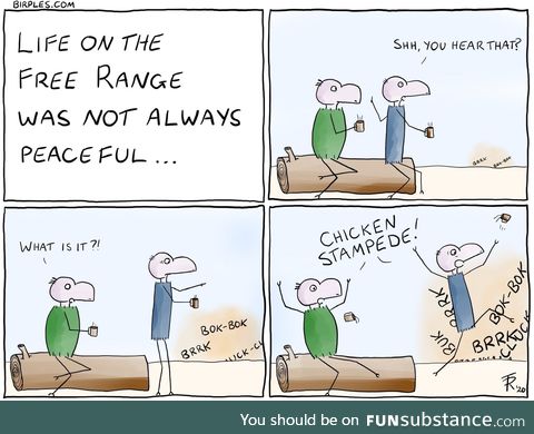 Life on the free range