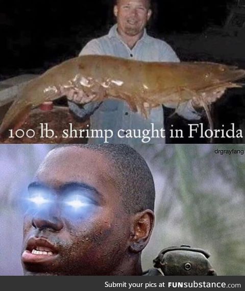 Bubba do be eating shrimp doh