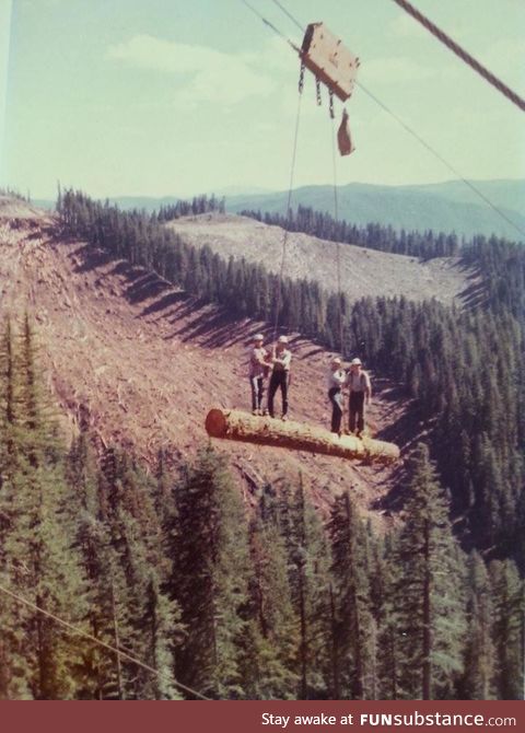 Loggers are a different breed, circa 1977