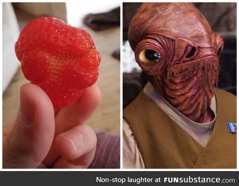 Admiral Ackbar's Strawberry. Naturally, I did not eat it