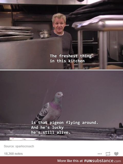 Wouldn't be his first pigeon