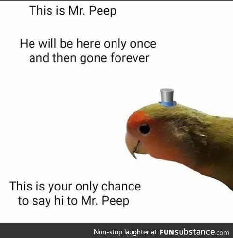 Say hi to Mr.Peep