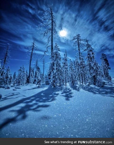 Diamonds in the snow under the Moonlight. Ranua, Finland