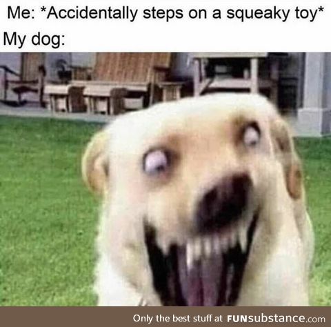 Squeaky toy